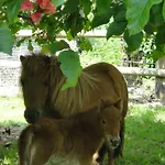 La Bourgetterie Sur * Fontenay-sur-Mer
