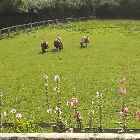 Country house La Bourgetterie Sur *