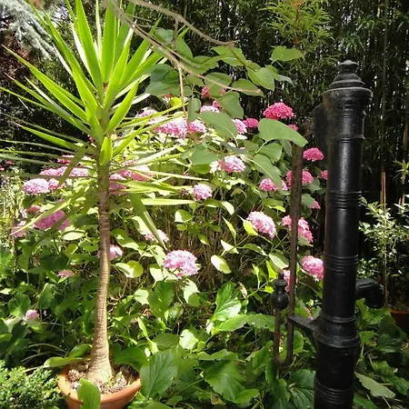 La Bourgetterie Sur * Fontenay-sur-Mer