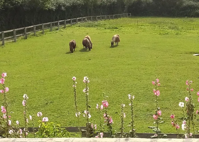 Country house La Bourgetterie Sur *