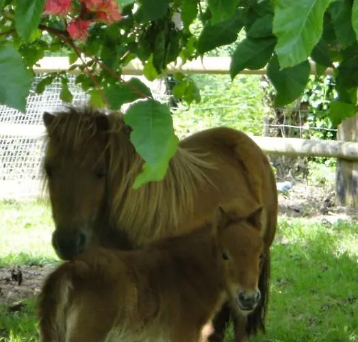 La Bourgetterie Sur * Fontenay-sur-Mer