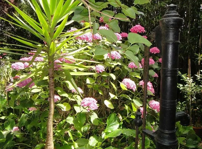 La Bourgetterie Sur * Fontenay-sur-Mer